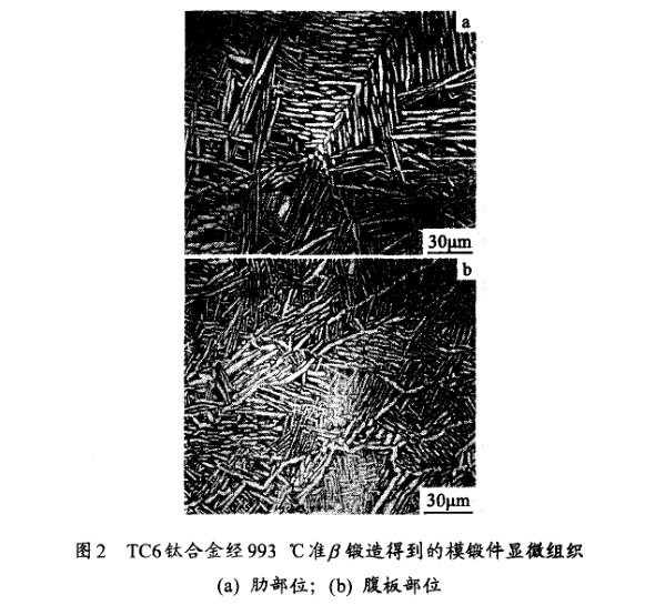 TC6鈦合金經993℃準β鍛造得到的模鍛件顯微組織(a) 肋部位；(b) 腹板部位