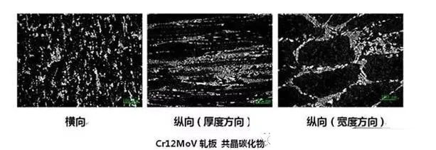 Cr12MoV軋板不同方向共晶碳化物的形態的金相圖