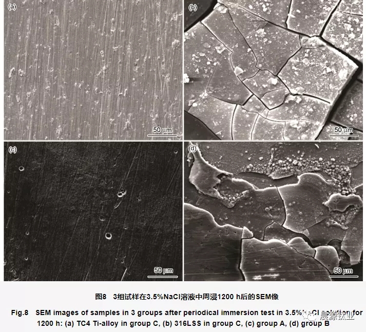 周浸腐蝕實(shí)驗(yàn)后不同組試樣表面形貌的SEM像