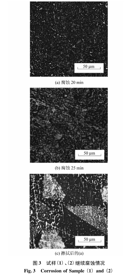 試樣(1)、(2)繼續腐蝕情況